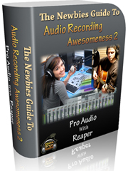 The Newbies Guide To Audio Recordin Awesomeness 2